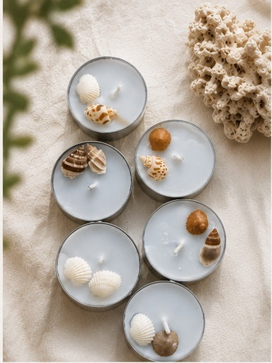 Seashell Whisper