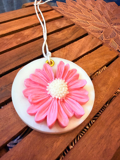 Pink Daisy