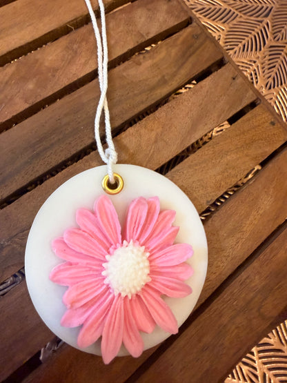 Pink Daisy